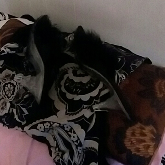 Pleaser belle - Picture 2 of 3